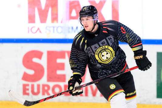 Brynäs Leo Sundqvist