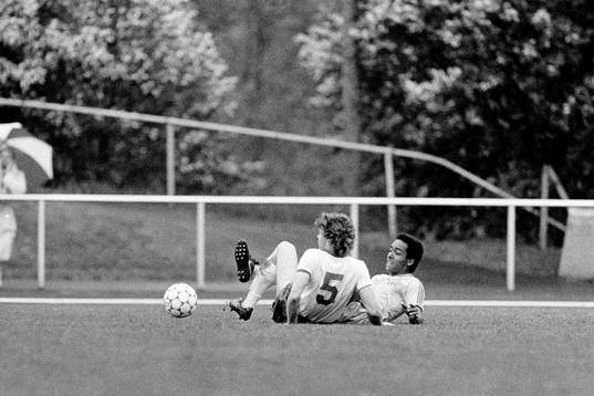  Jan Ahlbom och Martin Dahlin, Sverige
