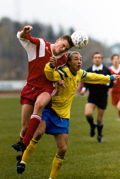 Henrik Larsson, Sverige