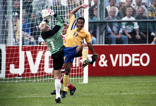 Martin Dahlin, Sverige