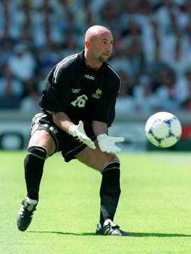 Fabien Barthez, Frankrike