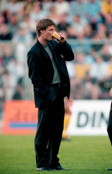 Stefan Schwarz, Sverige